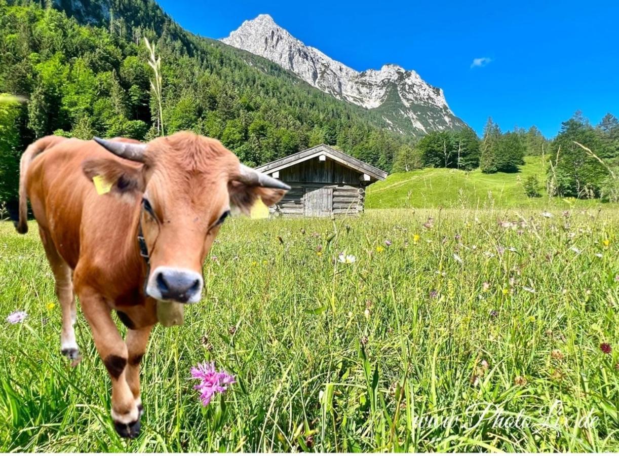 Sparfuchs - Fewo Resi Mittenwald Ngoại thất bức ảnh